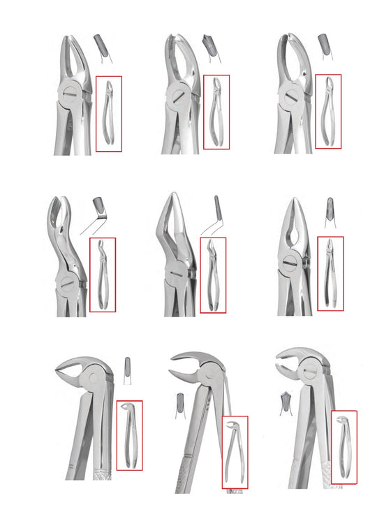 Adult Extraction Forceps (Pakistan) 1pc