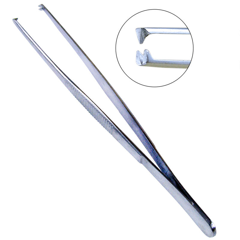 Tissue Forceps (Pakistan) 1pc