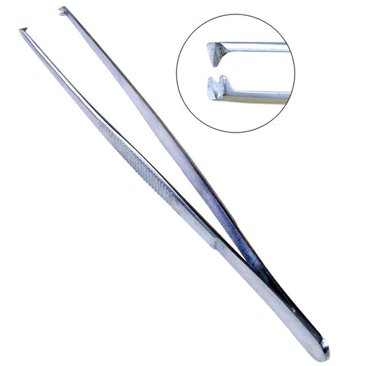 Tissue Forceps (Pakistan) 1pc