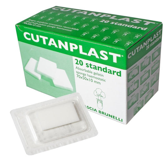 Absorbable Gelatin Sponges (China) 1pc